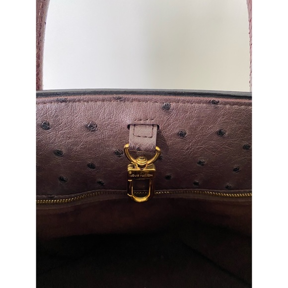 𝗟𝗶𝗺𝗶𝘁𝗲𝗱 𝗘𝗱𝗶𝘁𝗶𝗼𝗻 Louis Vuitton Monogram Etoile Exotique Bag - Picture 5 of 6